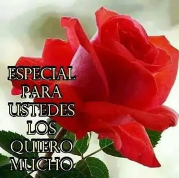 maribelflore796